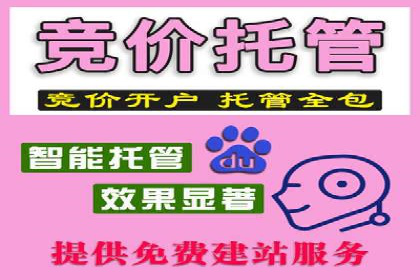 百度优化推广案例：案例分析及优化效果