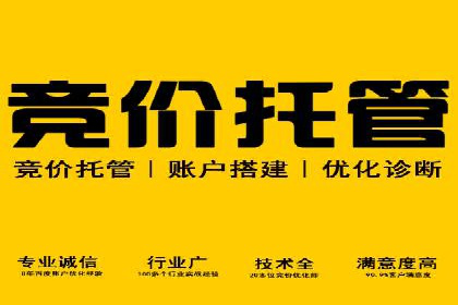 揭秘百度竞价排名：实战案例解析